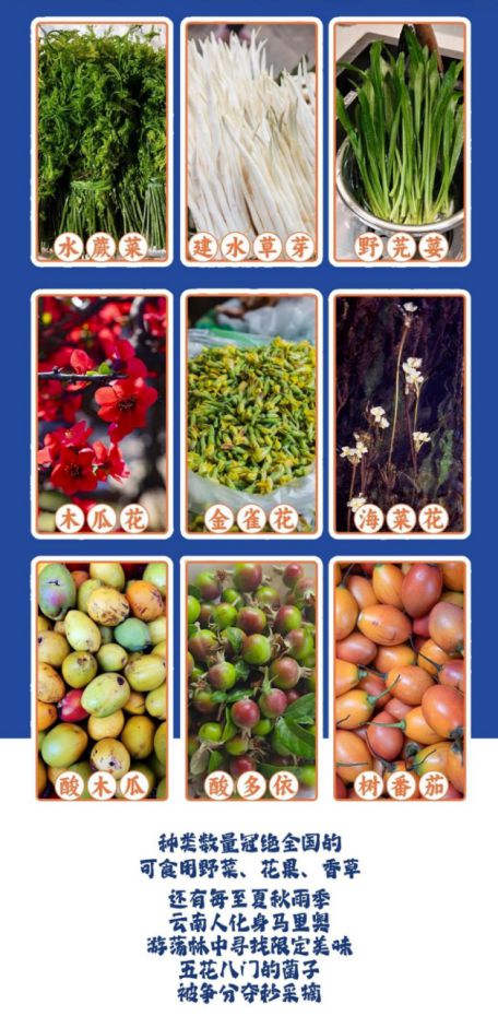 云肴酸菜牛肉火锅开启酸辣新体验麻将胡了试玩网站免费沸腾酸香遇(图1) 云肴酸菜牛肉火锅开启酸辣新体验麻将胡了试玩网站免费沸腾酸香遇(图1)